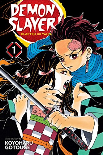 Demon Slayer: Kimetsu no Yaiba, Vol. 1 - Smart Book Deal